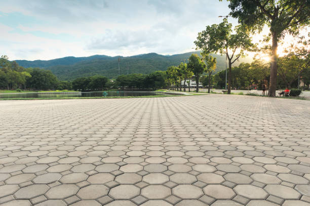 Best Driveway Pavers for Homes  in Okauchee Lake, WI